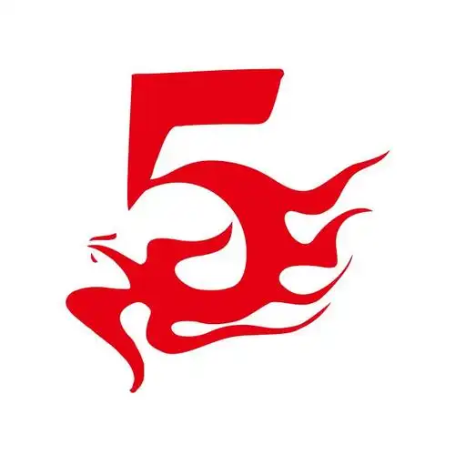 班徽logo>5班>5班火焰 创意个性班徽图案设计软件下载软件工具班旗
