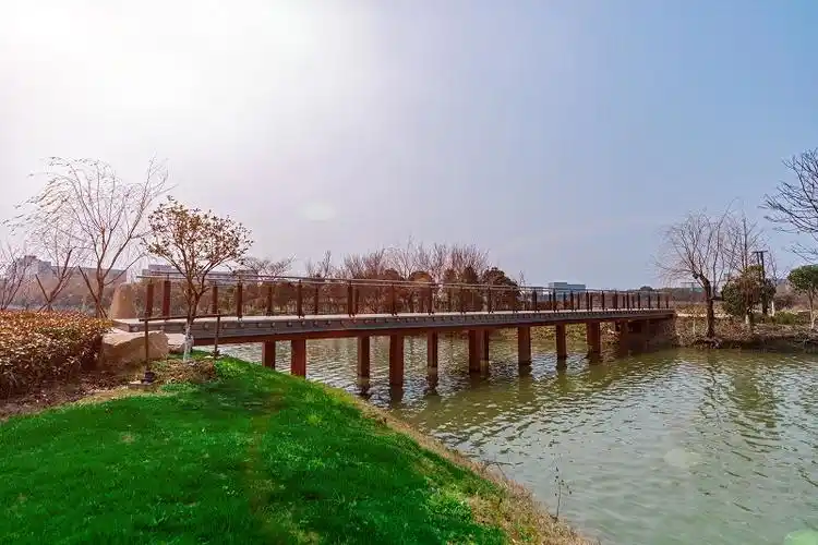 茶花公园茶花公园三千粉黛,山茶映红,森林漫岛,花溪浪漫,花间小筑
