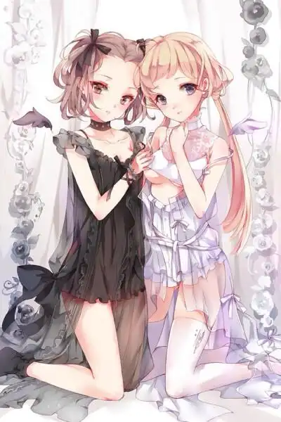 acg美人,天使与恶魔,双子,壁纸