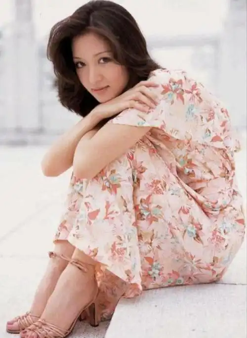 费翔的另一段"未承认"的感情就是和内地女歌手朱桦了,两人并没有公开