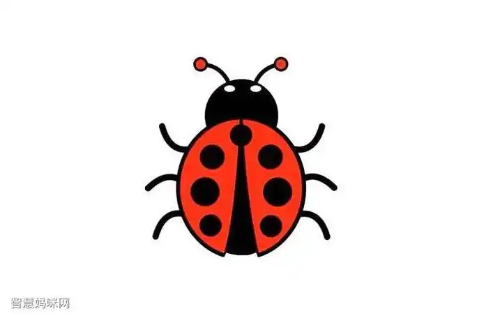 卡通昆虫动物色彩简笔画